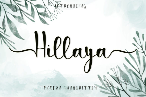 Hillaya: The Script Font That Elevates Campaign Visuals
