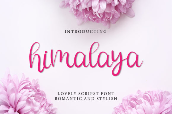 Himalya: A Delicate Script Font for Editorial Elegance