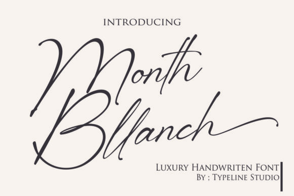 Month Bllach: The Script Font That Elevates Campaign Visuals