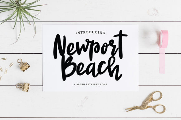 Newport Beach: The Relaxed Script Font for Modern Brand Identity