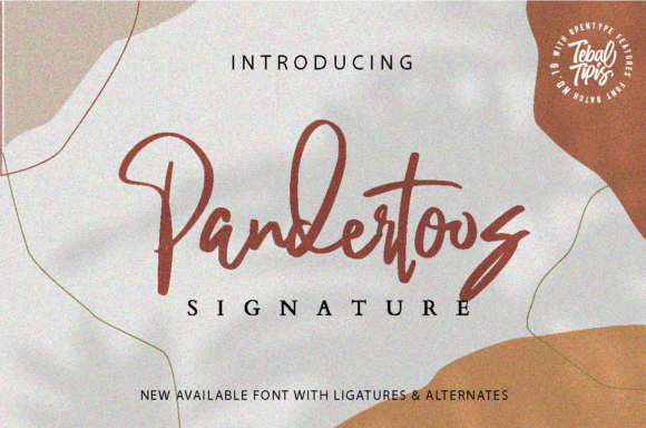 Pandertoos: A Delicate Script Font for Elegant Brand Identity