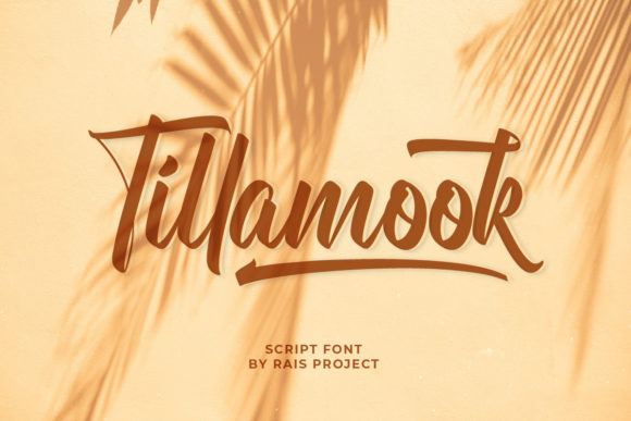 Tillamook Font Review: Elevating Script Design for Modern Campaigns