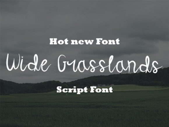 Wide Grasslands: The Script Typeface That Elevates Small Business Branding